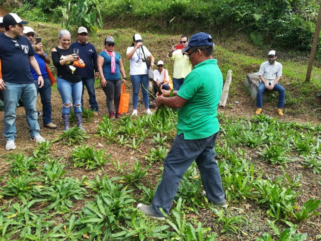 El agroturismo —también llamado turismo agrícola— es una modalidad que acerca a los viajeros a los procesos productivos del campo y a la cultura que los envuelve.
