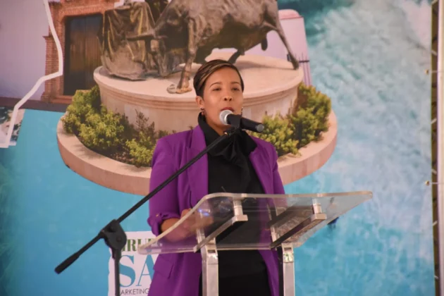 Milka Hern&aacute;ndez en la presentacion de las Gu&iacute;as de turismo de El Seibo y Michdes