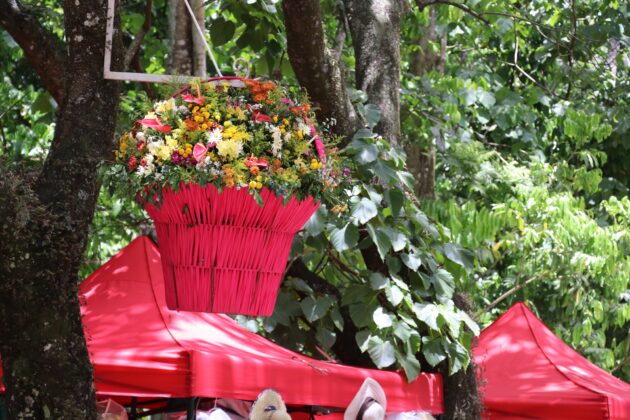 Por su clima, Jarabacoa muestra flores todo el a&ntilde;o