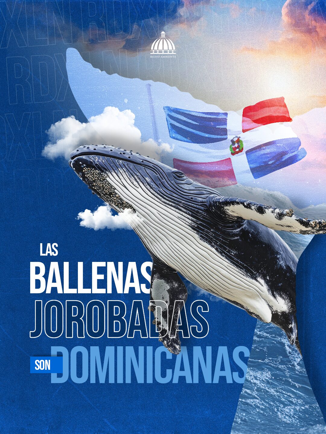 Con el acuerdo, el Ministerio de Medio Ambiente consolida su compromiso con la gobernanza ambiental del santuario y con la promoción de una temporada de avistamiento de ballenas jorobadas basada en el respeto a la normativa y la conservación del patrimonio natural marino.
