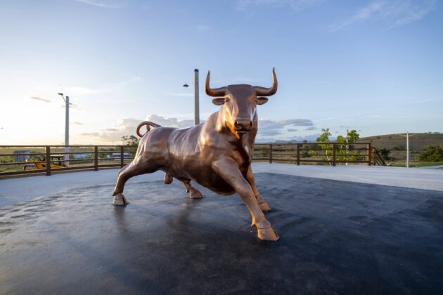 Estatua de bronce de un toro en la explanada lateral de la Plaza Multiuso Seibana concebida principalmente para las corridas de toros en El Seibo, &uacute;nica provincia donde se realizan.