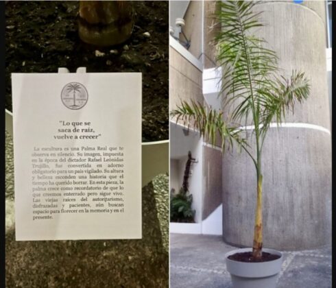 La palma premiada en la Bienal