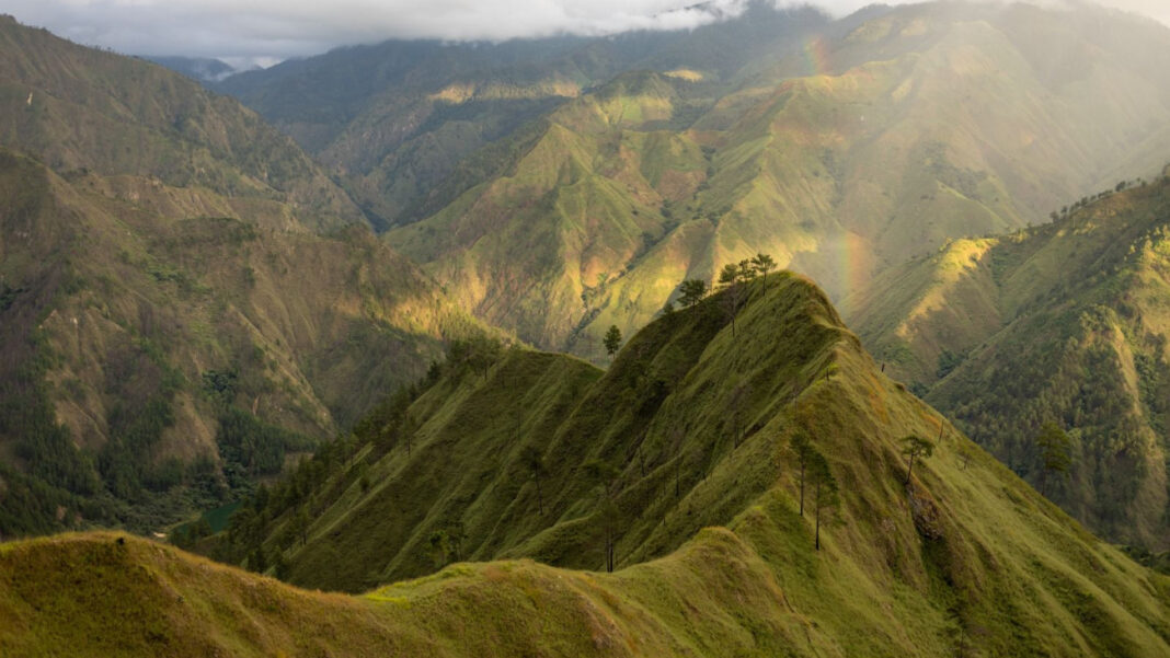 Vista panorámica del Parque Nacional José del Carmen Ramírez, donde a partir de este 21 de enero de 2026, queda habilitada una nueva ruta ecoturística de la presa Palomino.