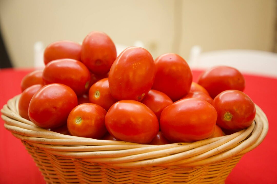 Canasta de tomate que se muestra en el Festitomate Azua 2026