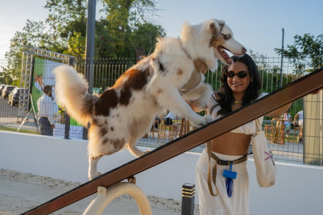 Parte del p&uacute;blico en The Paw Zone, el nuevo parque canino de Playa Nueva Romana.