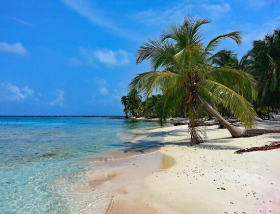Palmeras y playa, el paisaje tropical que atrae a los colombianos a Rep&uacute;blica Dominicana