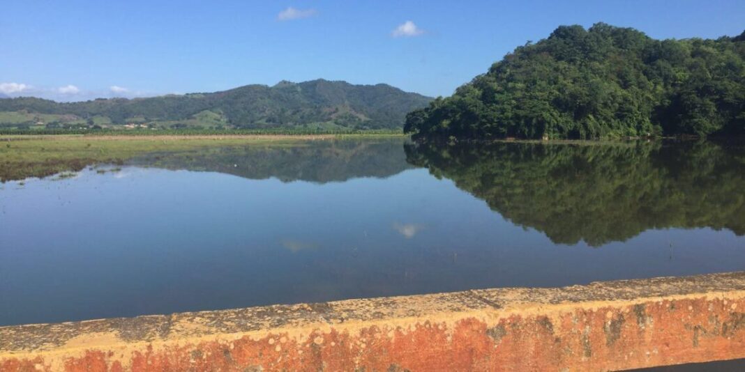 La Academia de Ciencias no solo ha documentado la situación, sino que ha planteado un plan de acción orientado a revertir el deterioro ambiental del embalse de la Presa de Hatillo.