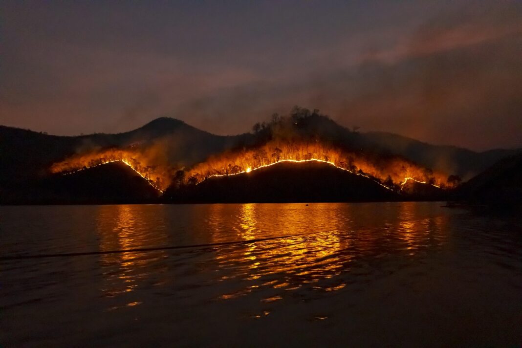 Una de las revelaciones más impactantes del estudio es que, en la Comunidad de Madrid, el 92 % de los incendios investigados tienen origen humano
