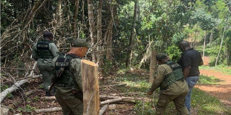 Según las autoridades, dicho operativo se llevó a cabo en atención a una denuncia difundida en redes sociales, en la que se indicaba que la referida loma, considerada patrimonio municipal, presuntamente estaba siendo parcelada por comunitarios.