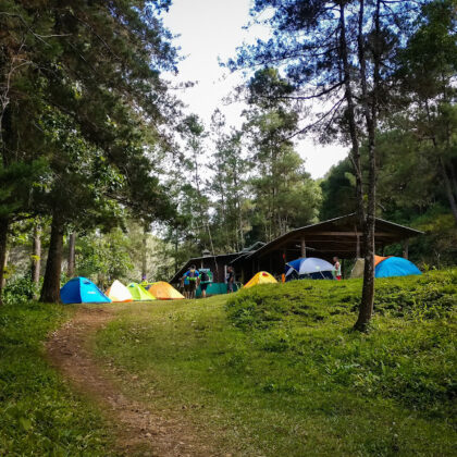 &Aacute;rea de camping en la Reserva Cient&iacute;fica &Eacute;bano Verde en Jarabacoa