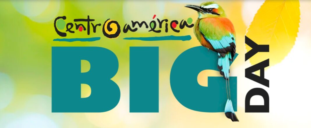 El Centroamérica Big Day es el evento de avistamiento de aves más grande de la región. Este día, ciencia ciudadana, naturaleza y turismo responsable se unen en una jornada regional de observación de aves en Centroamérica y República Dominicana.