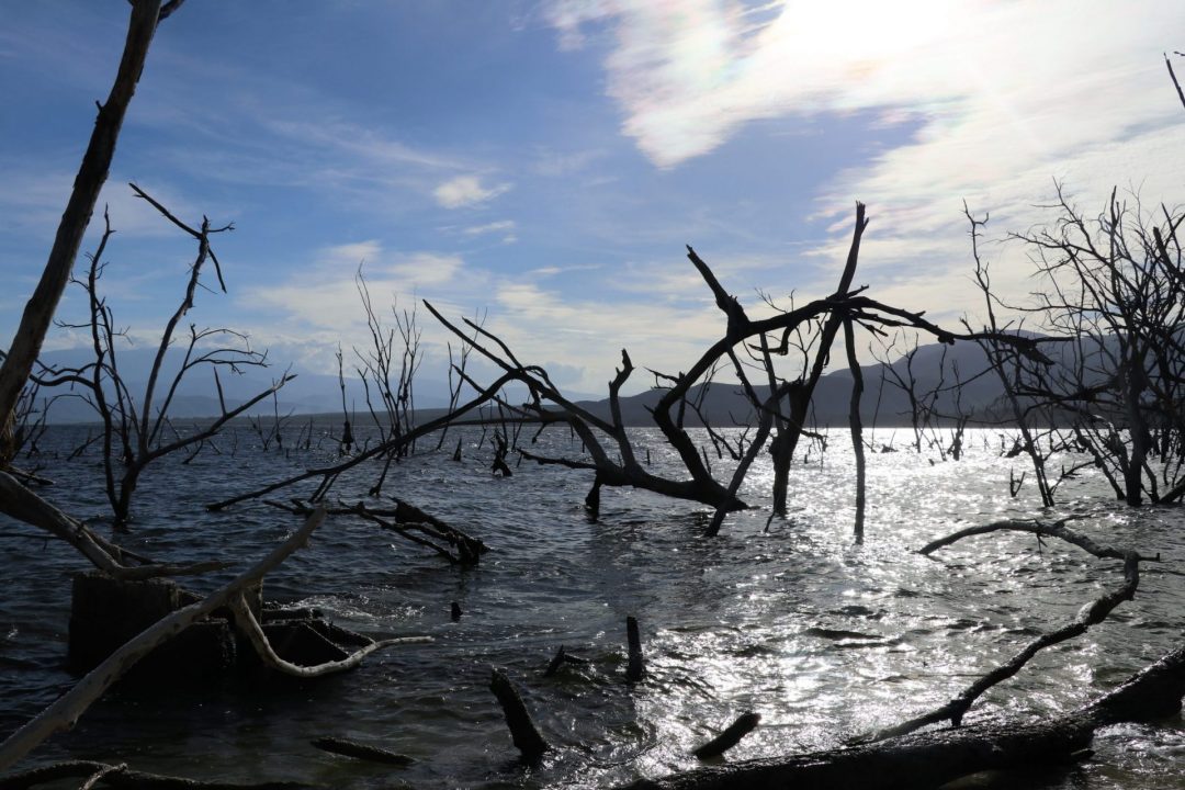 Vista del Lago Enriquillo