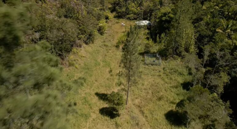 Estacion meteorol&oacute;gica dentro de la Reserva Cient&iacute;fica &Eacute;bano Verde