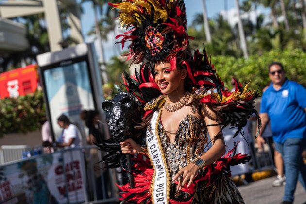 Comparsas y personajes dieron color y vida al Desfile Nacional de Carnaval 2026