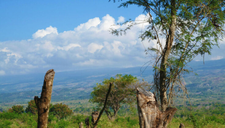 Parque Nacional Sierra de Bahoruco Bosque Nublado en la zona de Ca&ntilde;ada Seca. Foto Grupo Jaragua