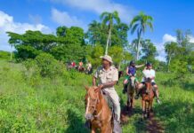 El mercado latinoamericano de turismo de aventura al extranjero: cultura, exploración y una oportunidad de 39 mil millones de dólares Recorrido a caballo por las montañas dominicanas, una de las ofertas más populares de los turistas que visitan el país en busca de aventuras en la naturaleza. Foto Runner Aventures