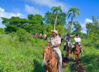 El Turismo dominicano, segundo sector con mayor Inversión Extranjera Directa en el primer semestre del año, la que creció de manera general, un 7.7% Recorrido a caballo por las montañas dominicanas, una de las ofertas más populares de los turistas que visitan el país en busca de aventuras en la naturaleza. Foto Runner Aventures