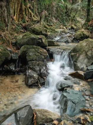 Reserva Cient&iacute;fica Ebano Verde 2