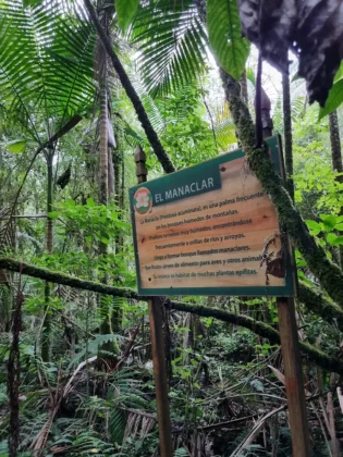 Reserva Cient&iacute;fica Ebano Verde 2