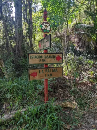 Reserva Cient&iacute;fica Ebano Verde