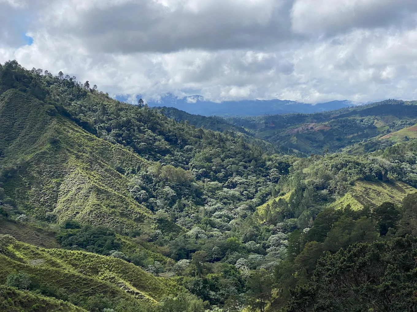 Reserva Científica Ebano Verde