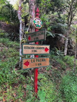 Senderismo en la Reserva Cient&iacute;fica &Eacute;bano Verde en Jarabacoa