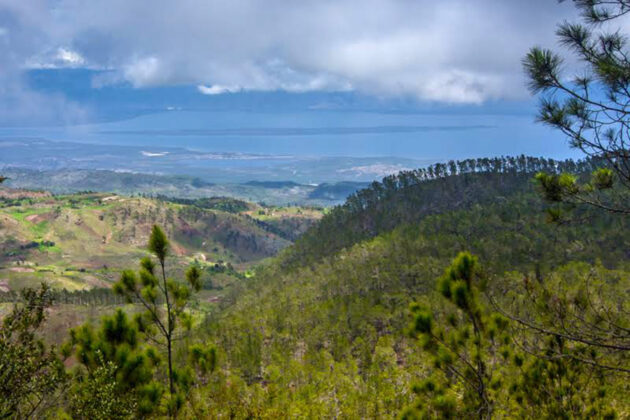 Parque Nacional Sierra de Bahoruco Bosque Nublado en la zona de Ca&ntilde;ada Seca. Foto Grupo Jaragua