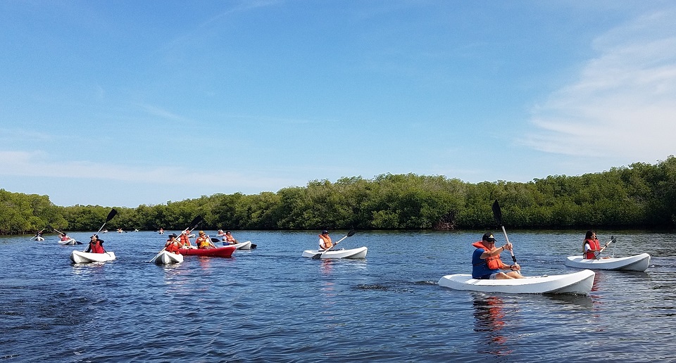 Turistas recorren la Bahía de Estero Balsa en Manzanillo disfrutando de la ruta del Kayak