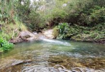 Una escapada al corazón del Baiguate en Jarabacoa a pesar de la degradación ecológica que padece la región Vista de una de las pozas balnearios del Baiguate en su cuenca alta.