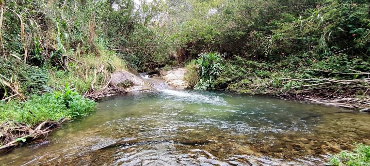 Vista de una de las pozas balnearios del Baiguate en su cuenca alta.