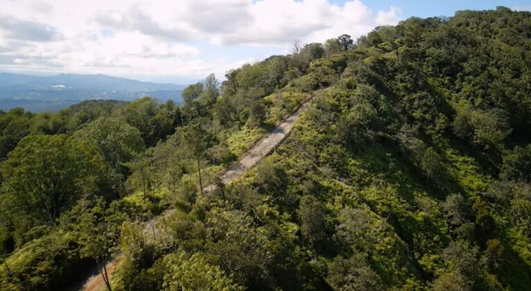 Vista del Sendero Ba&ntilde;o de Nube en la Reserva Cient&iacute;fica &Eacute;bano Verde. Foto #desdeelairerd
