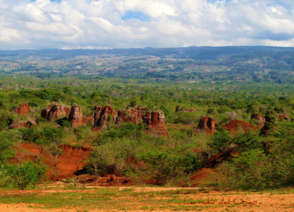 Parque Nacional Sierra de Bahoruco Bosque Nublado en la zona de Ca&ntilde;ada Seca. Foto Grupo Jaragua