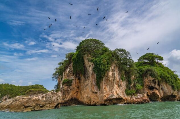 Los Haitises son el lugar de vida de decenas de especies de aves