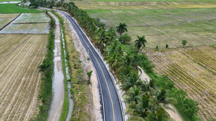 Entre arrozales y la campi&ntilde;a dominicana vista del circuito vial Bajo Yuna