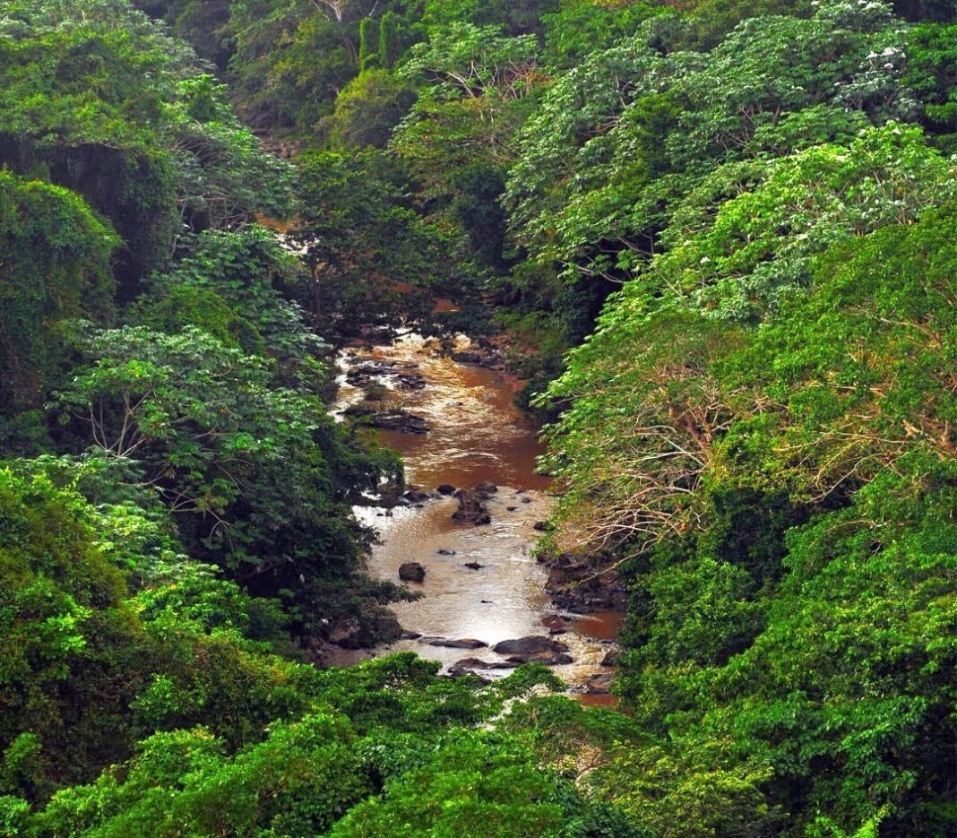 SOH Conservación impulsa creación del “Fondo Agua del Sur” para garantizar financiamiento sostenible a largo plazo para la biodiversidad y el agua del sur dominicano