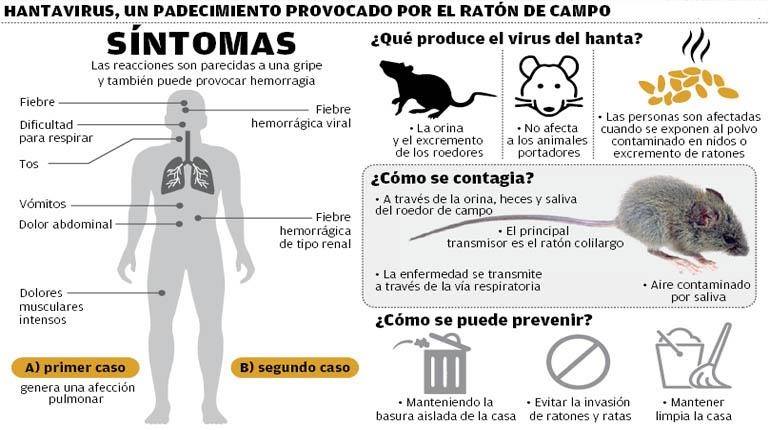 Infografía del municipio General Rodríguez, Buenos Aires, Argentina con las recomendaciones para prevenir el contagio del Hantavirus