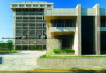 Economía dominicana suma 118,631 nuevos empleos y mantiene sólido desempeño laboral en 2026 El Banco Central informó que en enero-marzo 2026 el total de ocupados alcanzó 5,236,178 personas, para un aumento interanual de 118,631 nuevos ocupados netos.