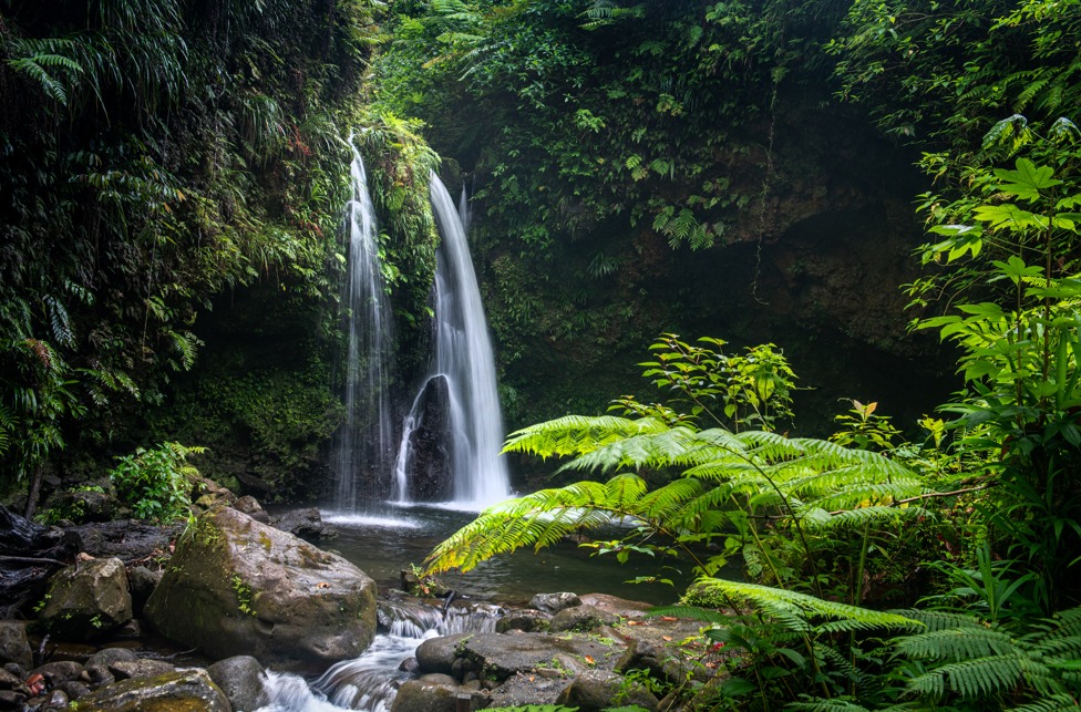 Imagen de montañas, cascadas y bosques para el turismo en el Caribe