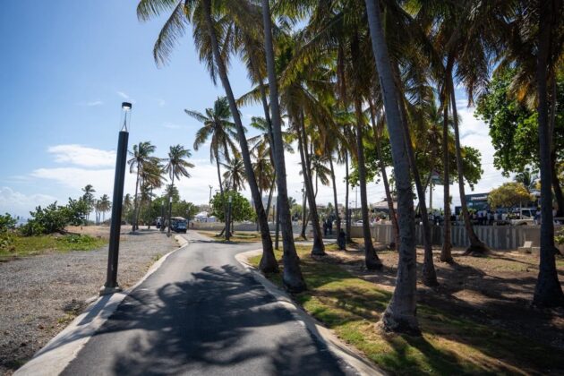 Vista de los senderos dentro del Malec&oacute;n de SDE