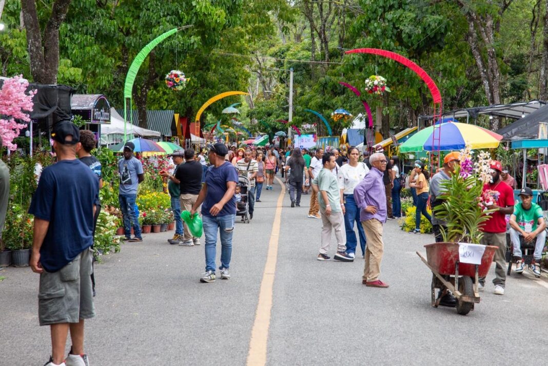 La avenida la confluencia se convierte en un mosaico de colores, aromas y cultura que impulsa el turismo de montaña dominicano