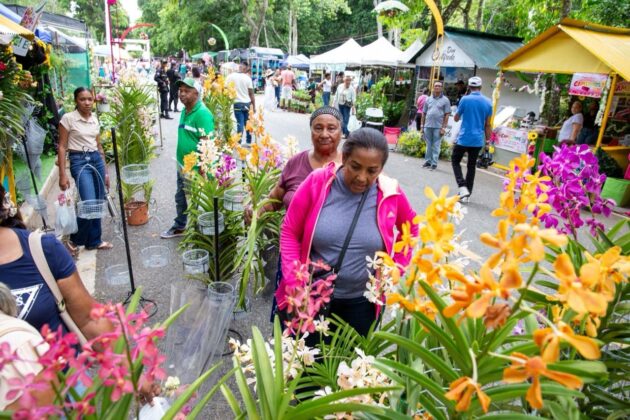 Esta edici&oacute;n del Festival de las Flores tuvo a Colombia como pa&iacute;s invitado. Adem&aacute;s, se destacaron las actividades del programa de actividades tales como el taller y concurso de pintura infantil, competencia Copa Dominicana de Arte Floral, desfile de carrozas florales, exposiciones pl&aacute;sticas, entre otras.
