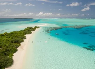 Airbnb y Airbnb.org refuerzan la preparación del Caribe ante huracanes con alojamiento de emergencia y una nueva guía de seguridad Como parte de esta estrategia preventiva, Airbnb presentó una Guía de Seguridad ante Huracanes para el Caribe, desarrollada junto a CDEMA y la Organización de Turismo del Caribe (CTO).