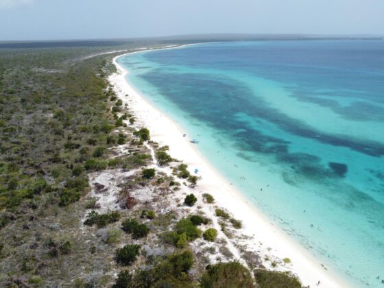 Bah&iacute;a de las &Aacute;guilas en Pedernales 2