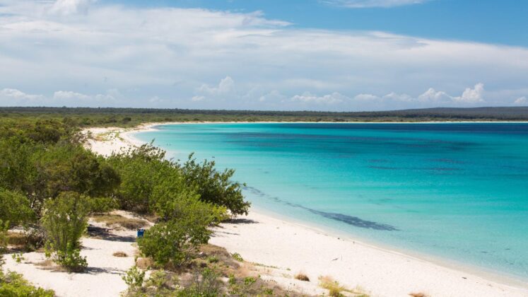 Bah&iacute;a de las &Aacute;guilas en Pedernales 2