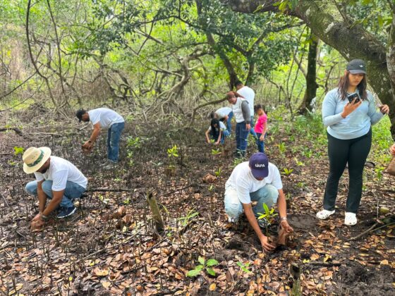 Domingo verde. La jornada de reforestaci&oacute;n de UAPA Nagua, el Cl&uacute;ster Tur&iacute;stico de Saman&aacute; y el Ministerio de Medio Ambiente