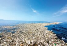 ¿Plástico en el paraíso? La otra cara de las playas del Caribe y las acciones de República Dominicana para enfrentar la contaminación PET Una isla de plástico flota en el Mar Caribe. Foto de Caroline Power publicada por el Banco Mundial
