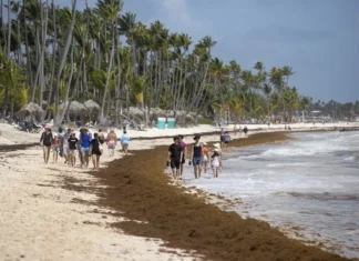 EFE da cuenta de la lucha sin tregua de República Dominicana para limpiar de sargazo sus famosas playas Personas caminan junto a sargazo aglomerado, el 9 de julio de 2025, en una de las playas de Punta Cana (República Dominicana). EFE Orlando Barría