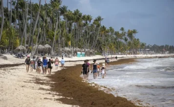 EFE da cuenta de la lucha sin tregua de República Dominicana para limpiar de sargazo sus famosas playas Personas caminan junto a sargazo aglomerado, el 9 de julio de 2025, en una de las playas de Punta Cana (República Dominicana). EFE Orlando Barría