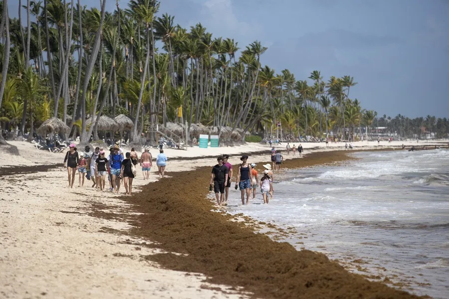 Personas caminan junto a sargazo aglomerado, el 9 de julio de 2025, en una de las playas de Punta Cana (República Dominicana). EFE Orlando Barría