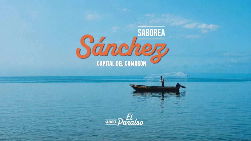 El festival gastronómico Saborea el Paraíso resaltará el valor culinario del emblemático camarón de Sánchez, fusionando la tradición pesquera, el patrimonio histórico y la identidad cultural del municipio.